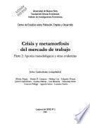 Crisis y metamorfosis del mercado de trabajo: Aportes metodológicos y otras evidencias