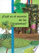 ¿Cuáles Son Los Secretos de Las Plantas? Adaptación y Supervivencia / the Hidden Secrets of Plants: Adaptation and Survival