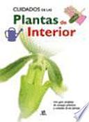 Cuidados de las plantas de interior