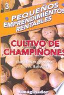 Cultivo de Champiñones