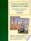 Cultivo de granos andinos en Ecuador
