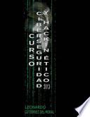Curso de Ciberseguridad Y Hacking Etico 2013