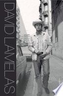 David Lamelas