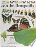 De la chenille au papillon