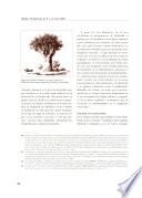 Debate y perspectivas