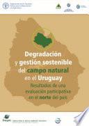 Degradación y gestión sostenible del campo naturalen el Uruguay