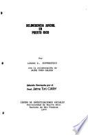 Delincuencia juvenil en Puerto Rico