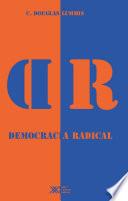 Democracia radical