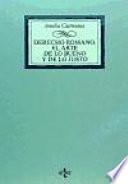 Libro Derecho romano