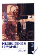 Derechos indígenas y desarrollo : autodeterminación en una comunidad amazónica
