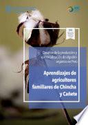 Desafíos de la producción y comercialización de algodón orgánico en Perú - Aprendizajes de agricultores familiares de Chincha y Cañete