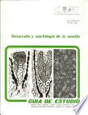 Desarrollo y morfologia de la semilla