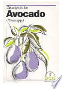 Descriptors for Avocado (Persea Spp.)