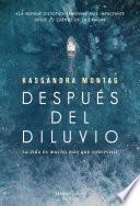 Después del diluvio