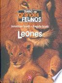 Diario de Grandes Felinos: Leones