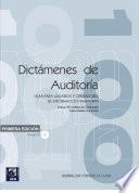 Dictamenes de Auditoria