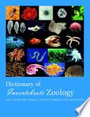 Dictionary of Invertebrate Zoology --Paperback