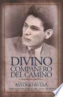 Divino Compañero Del Camino