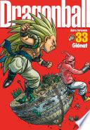 Dragon Ball perfect edition - Tome 33