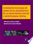 Ecografía en escala de grises en el diagnóstico de la hepatopatía difusa e hipertensión portal