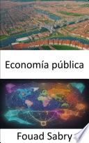 Economía pública