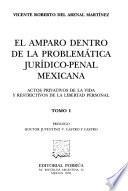 El amparo dentro de la problemática jurídico-penal mexicana