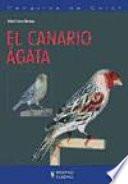 El canario ágata