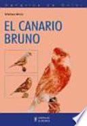 El canario bruno