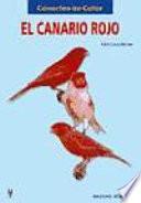 El canario rojo