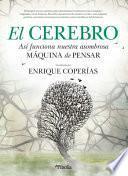 El cerebro
