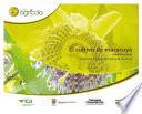 El cultivo de maracuyá (Passiflora edulis) medidas para la temporada invernal