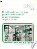 EL cultivo de meristemas para la conservacion de germoplasma de yuca in vitro