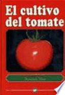 El cultivo del tomate.