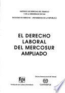 El derecho laboral del MERCOSUR ampliado