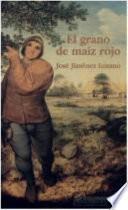 El grano de maíz rojo