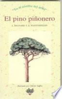 El pino piñonero