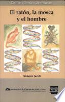 El Ratón, la Mosca y el Hombre