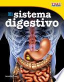 El sistema digestivo