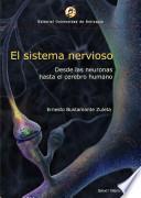 El sistema nervioso : desde las neuronas hasta el cerebro humano