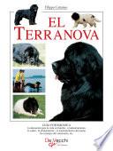 El terranova