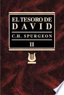 El Tesoro de David / Treasury of David