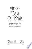 El trigo en Baja California