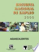 Encuesta Nacional de Empleo 2000. Aguascalientes