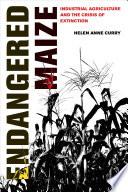 Endangered Maize