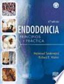 Endodoncia. Principios y práctica + DVD-ROM, 4a ed.