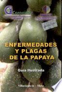 ENFERMEDADES Y PLAGAS DE LA PAPAYA Guia Ilustrada