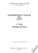 Enfermedades y plagas del olivo