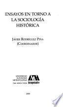 Ensayos en torno a la sociología histórica
