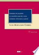 Entidades de propósito (o cometido) especial y otras entidades vehiculares o puente