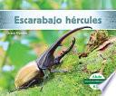 Escarabajo hércules (Hercules Beetle)